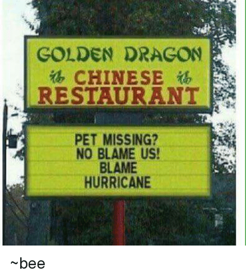 Golden Dragon Chinese Restaurant has a sign telling you to blame hurricane for your missing pet.