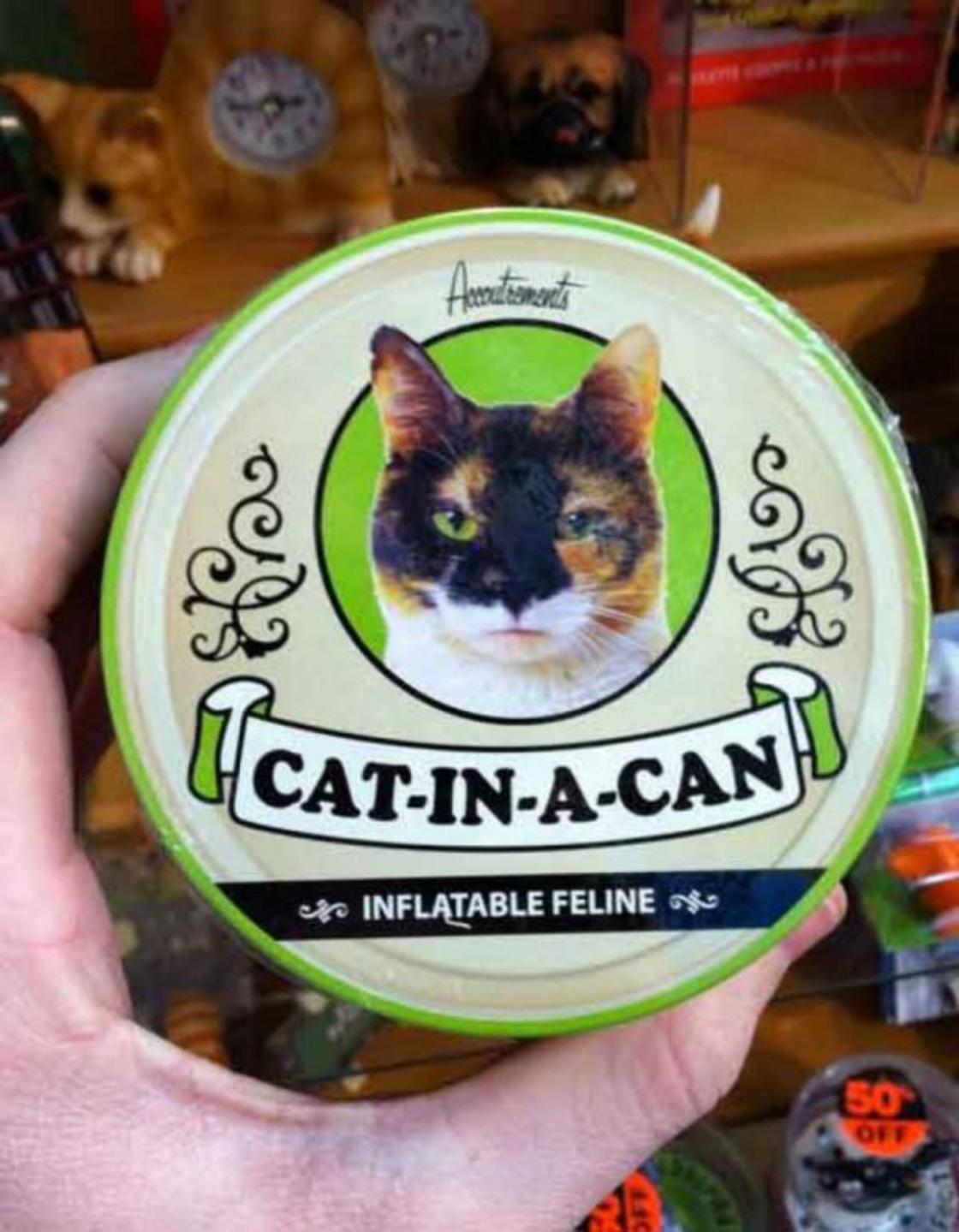 cat in a can, inflatable feline