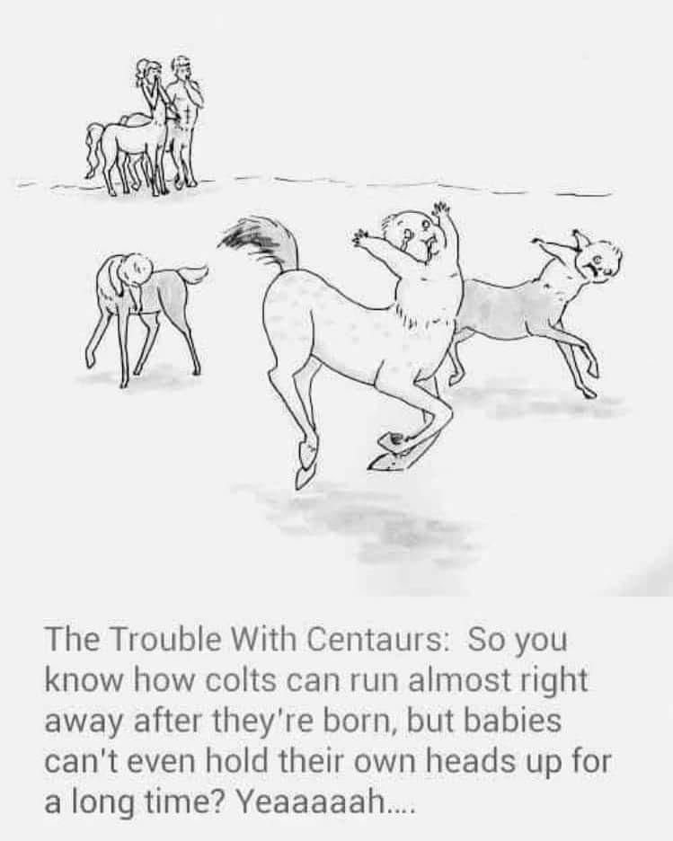 centaur babies meme - The Trouble With Centaurs So you know how colts can run almost right away after they're born, but babies can't even hold their own heads up for a long time? Yeaaaaah....