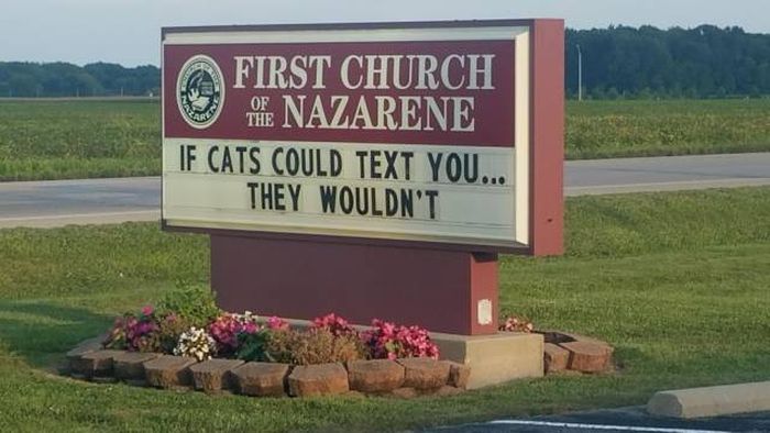 sign - A First Church E Nazarene If Cats Could Text You... They Wouldn'T