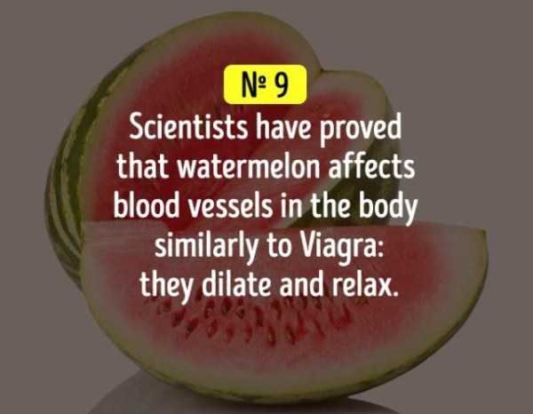 Scientists proven that watermelon dilates and relaxes the body.
