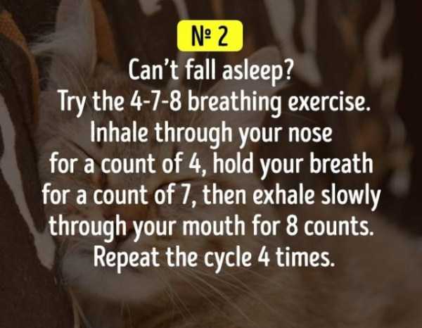 Lifehack of the 4-7-8 breathing excersize to fall asleep.