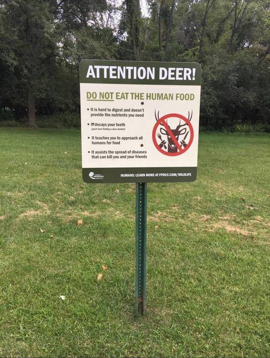 random pic attention deer do not eat the human food - Attention Deer! Do Not Eat The Human Food It is hard to digest and doesn't provide the nutrients you need Ip decays your teeth It teaches you to approach all humans for food It assists the spread of di