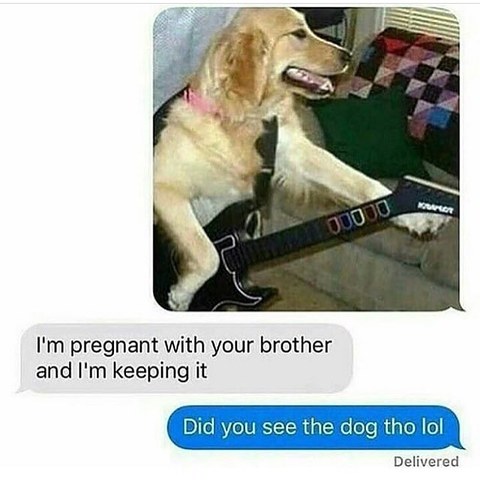random pic dog playing guitar hero meme - Art 00000 I'm pregnant with your brother and I'm keeping it Did you see the dog tho lol Delivered