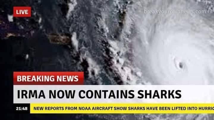hurricane irma sharks - Live breakyourownnews.com Breaking News Irma Now Contains Sharks New Reports From Noaa Aircraft Show Sharks Have Been Lifted Into Hurric