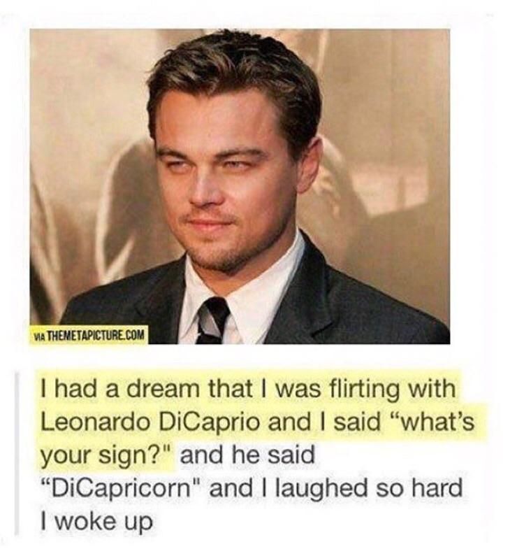 Someone explaining they had a dream they were flirting with Leonardo DiCaprio and asked him what his sign was and DiCapricorn was the answer and it work them up.