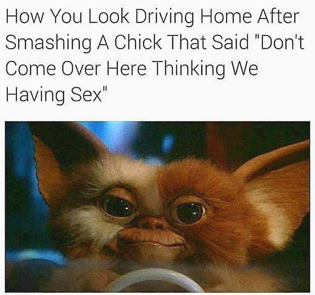 just wanna cuddle meme - How You Look Driving Home After Smashing A Chick That Said "Don't Come Over Here Thinking We Having Sex"