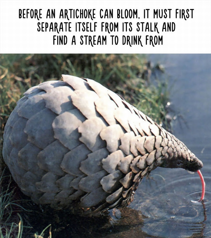 20 Little Known Facts From The Animal Kingdom