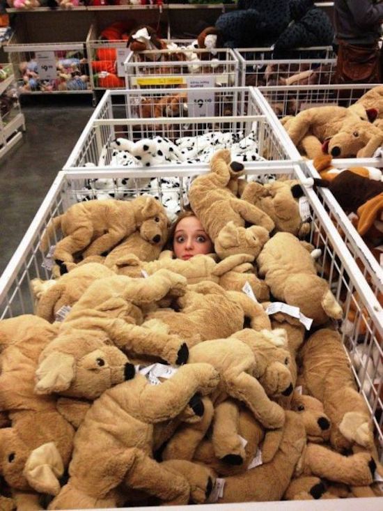 person covered in stuffed animals