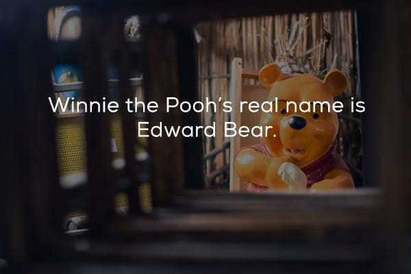 photo caption - Winnie the Pooh's real name is Edward Bear.