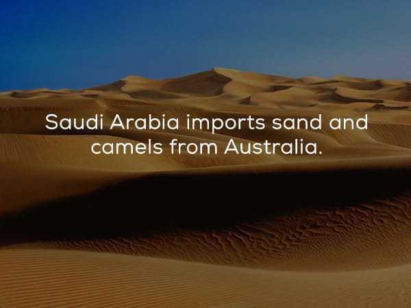 erg - Saudi Arabia imports sand and camels from Australia.