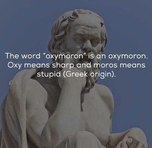 sokrates meme - The word "oxymoron" is an oxymoron. Oxy means sharp and moros means stupid Greek origin.