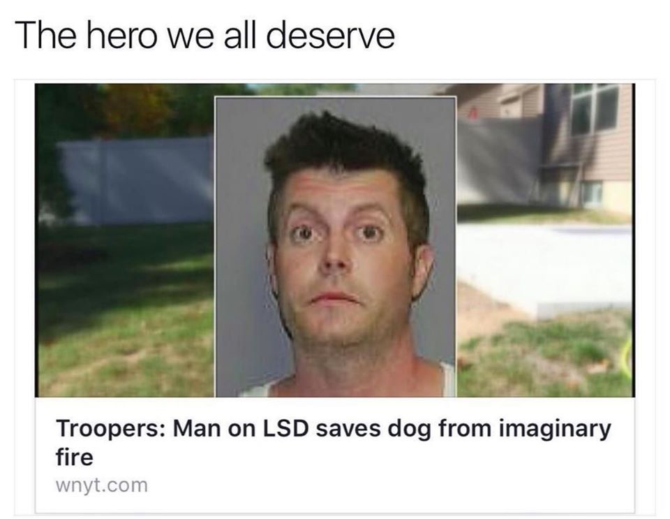 man on lsd saves dog from imaginary fire - The hero we all deserve Troopers Man on Lsd saves dog from imaginary fire wnyt.com