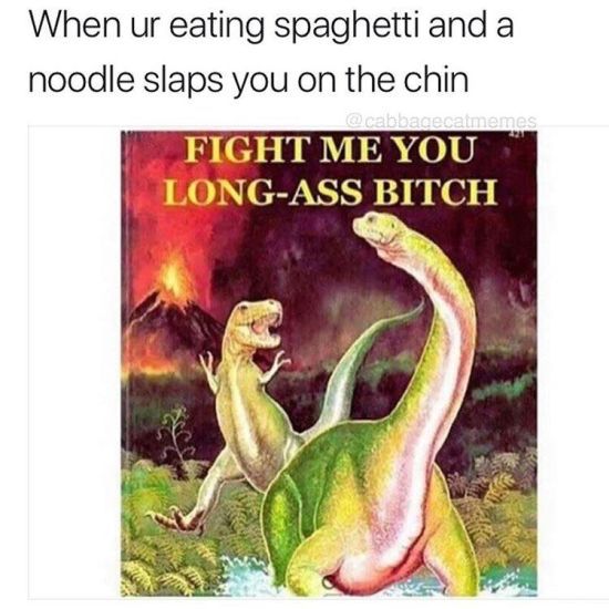fight me you long ass bitch - When ur eating spaghetti and a noodle slaps you on the chin Fight Me You LongAss Bitch