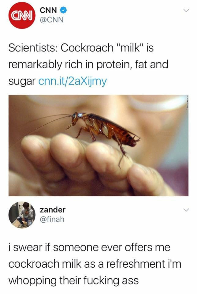 cockroach milk meme - Cm Cnn Scientists Cockroach "milk" is remarkably rich in protein, fat and sugar cnn.it2aXijmy Sort O zander zander i swear if someone ever offers me cockroach milk as a refreshment i'm whopping their fucking ass