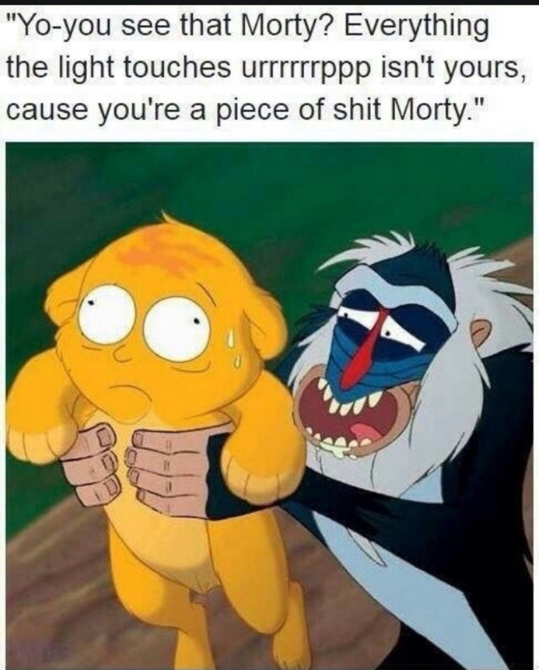 rick and morty lion king - "Yoyou see that Morty? Everything the light touches urrrrrrppp isn't yours, cause you're a piece of shit Morty."