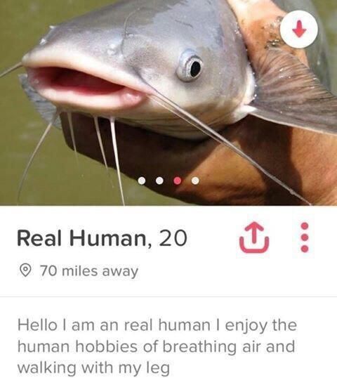 real human meme - Real Human, 20 ~ 70 miles away Hello I am an real human I enjoy the human hobbies of breathing air and walking with my leg