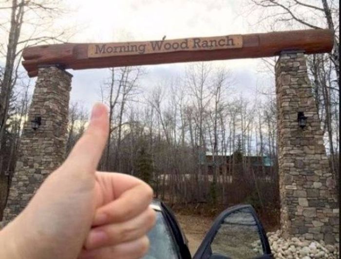 tree - Morning Wood Ranch.