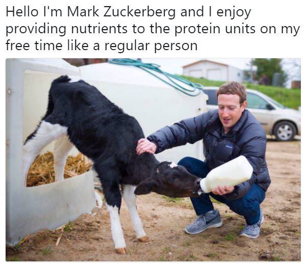 These "Fake" Zuckerberg Post Are Disturbingly Funny