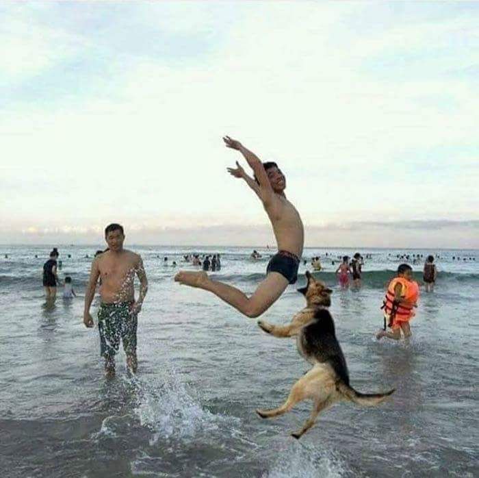 funny picture of a dog jumping at a man running in the beach and looks like he is about to chomp on his balls