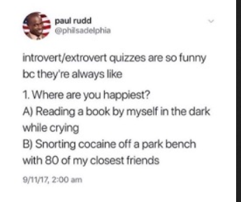 snorting cocaine on a park bench - paul rudd introvertextrovert quizzes are so funny bc they're always 1. Where are you happiest? A Reading a book by myself in the dark while crying B Snorting cocaine off a park bench with 80 of my closest friends 91117,
