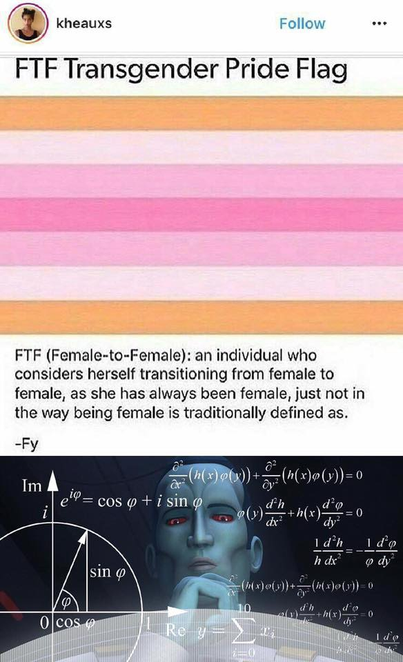 website - kheauxs Ftf Transgender Pride Flag Ftf FemaletoFemale an individual who considers herself transitioning from female to female, as she has always been female, just not in the way being female is traditionally defined as. Fy Iml Telecos i sin " x 