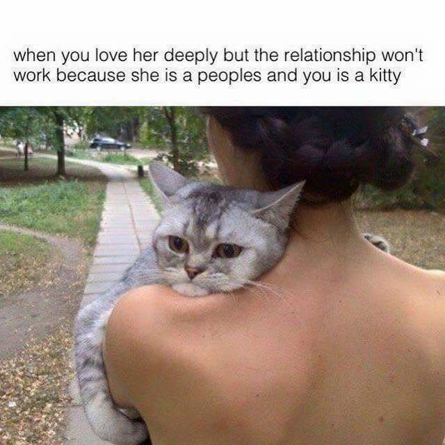 you love her but you - when you love her deeply but the relationship won't work because she is a peoples and you is a kitty