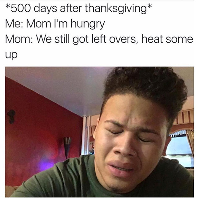 day after thanksgiving memes - 500 days after thanksgiving Me Mom I'm hungry Mom We still got left overs, heat some up