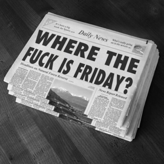 newspaper - Daily News Where The Fuck Is Friday? Helines on Natural Forest Reserve