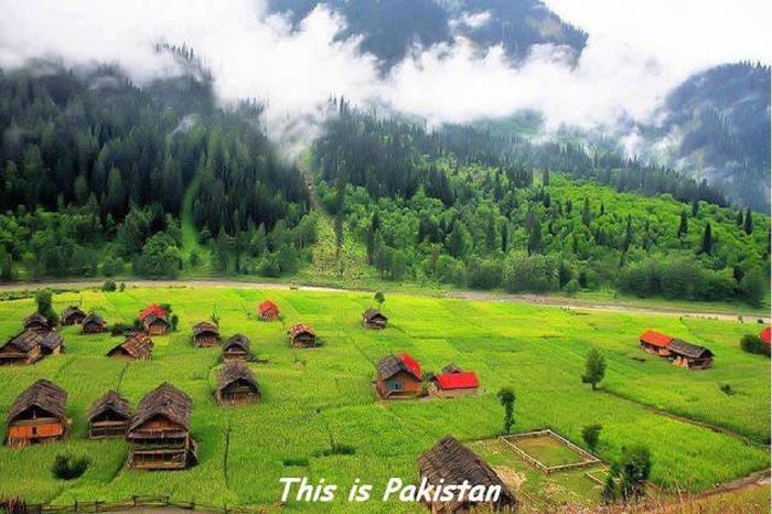 random pic neelum valley - This is park This is Pakistan