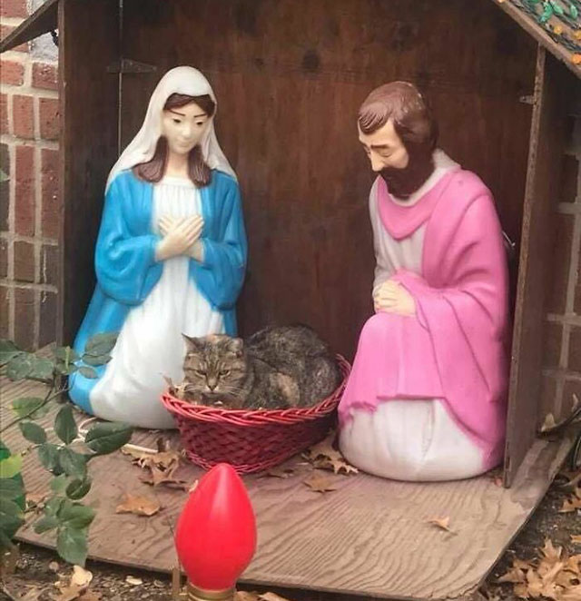 random pic baby jesus is fuzzier than expected