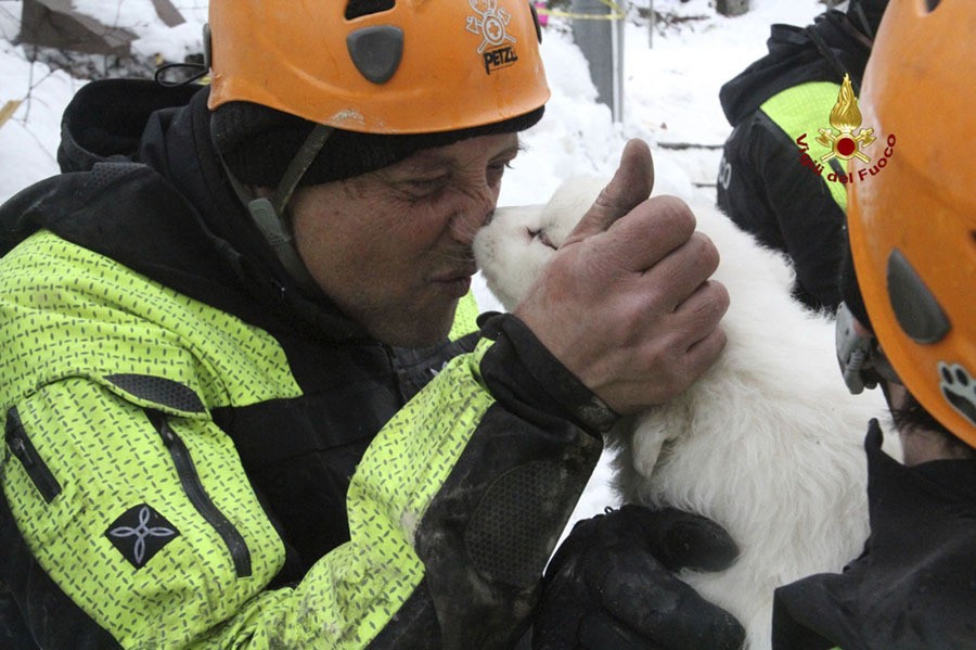 A firefighter kisses one of the three puppies that were found alive in the rubble of the avalanche-hit Hotel Rigopiano, near Farindola, Italy, on January 22, 2017. Emergency crews digging into an avalanche-slammed hotel were cheered by the discovery of three puppies who had survived for days under tons of snow.