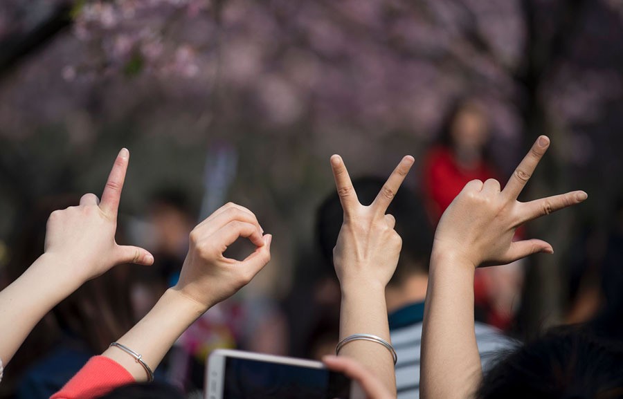 Visitors form the word "love" with their hands in front of a cherry blossom tree in Gucun Park in Shanghai, China, on March 4, 2017. Every year the cherry blossoms in this park attract hundreds of thousands of visitors.