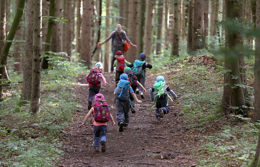 A group of kindergarten children and their teachers hike in a forest kindergarten on July 31, 2017 in Wessling, Bavaria, Germany. The forest kindergarten is a preschool education which is held almost exclusively outdoors. Children between the ages of three and six are encouraged to play, explore, and learn in a forest or natural environment. The adult supervision is meant to assist rather than lead.