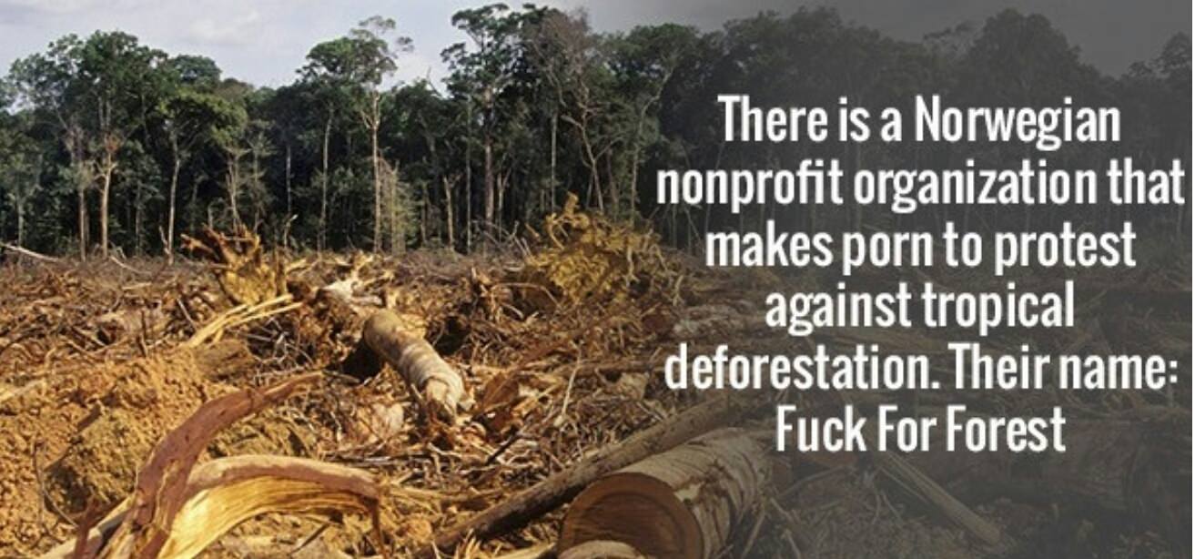 amazon deforestation - There is a Norwegian nonprofit organization that makes porn to protest against tropical deforestation. Their name Fuck For Forest