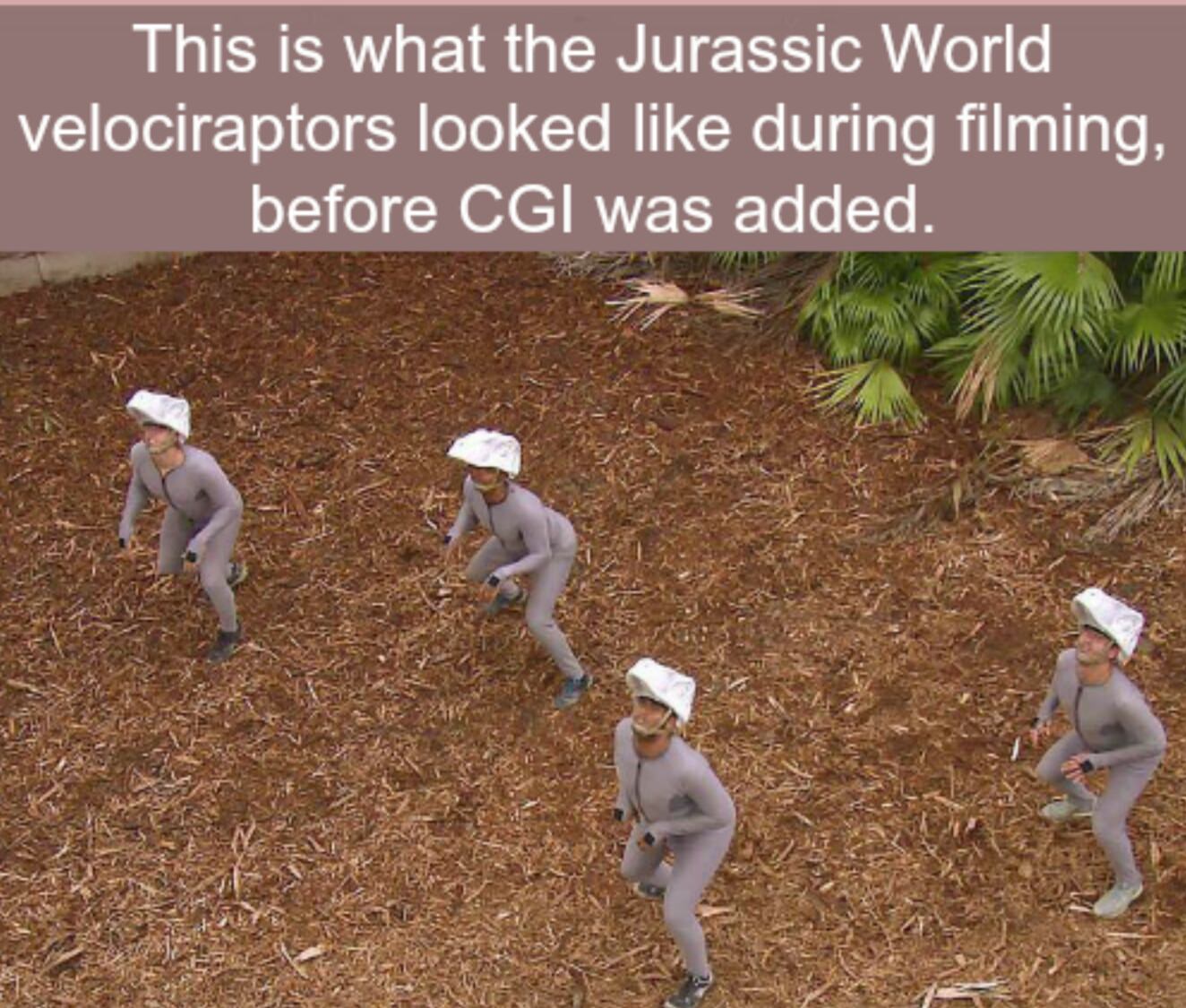 jurassic park before cgi - This is what the Jurassic World velociraptors looked during filming, before Cgi was added.