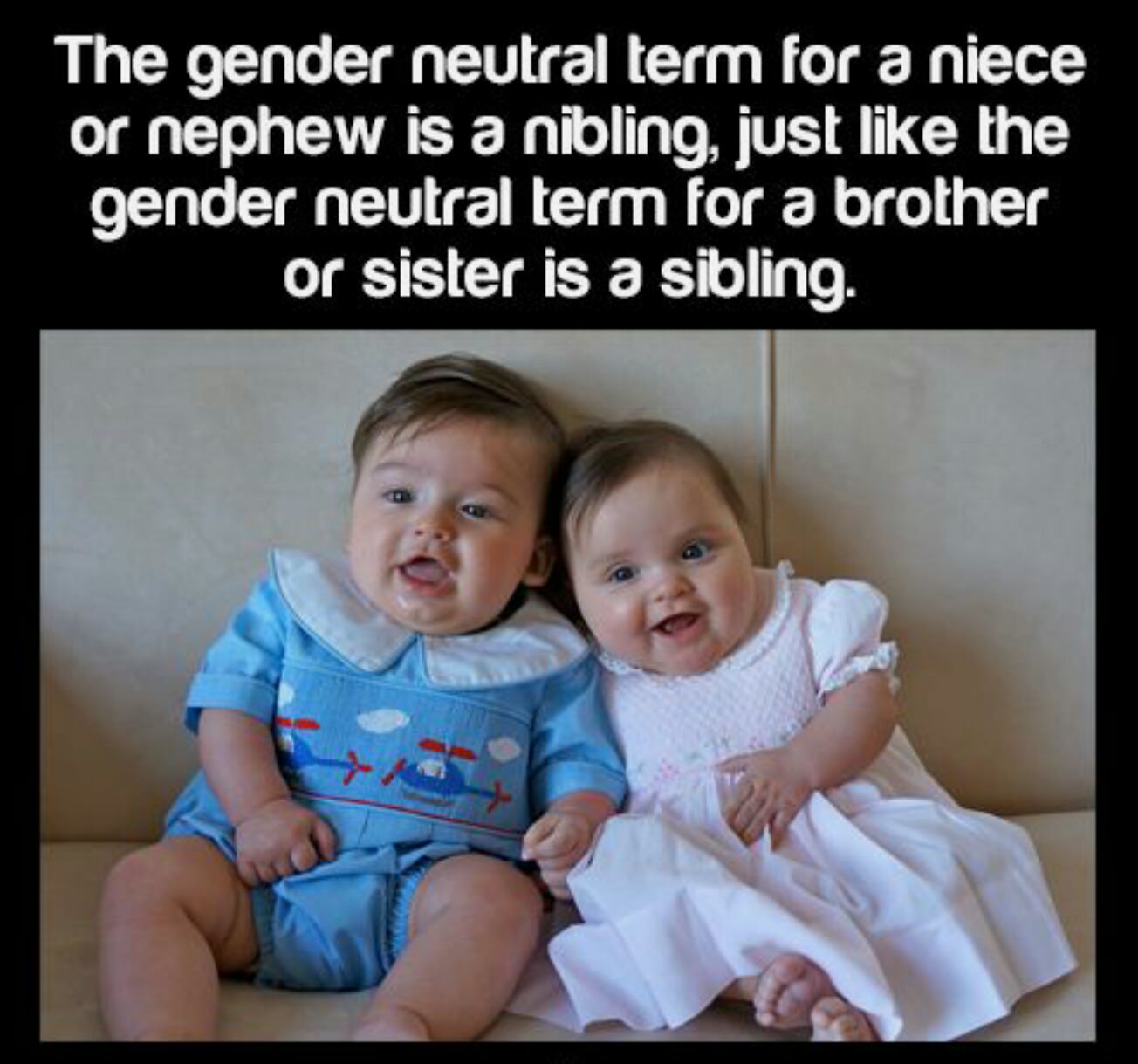 gender neutral term for brother - The gender neutral term for a niece or nephew is a nibling, just the gender neutral term for a brother or sister is a sibling.