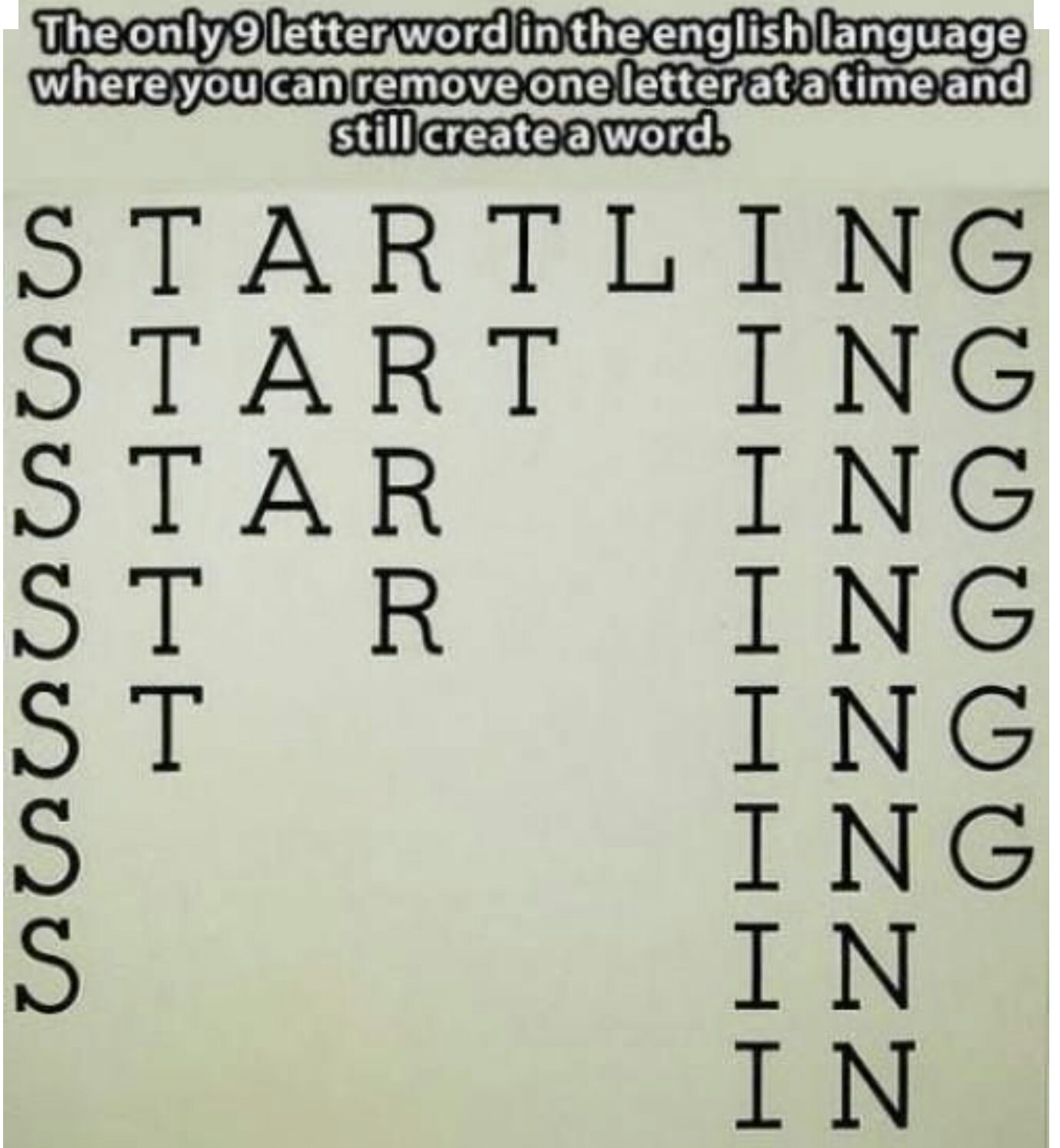 memes about the things they carried - The only 9 letter word in the english language where you can remove one letter at a time and still create a word. Rtling Sta Ing Eeeee Hhhhhhh Zzzzzz Uuuuu Zey