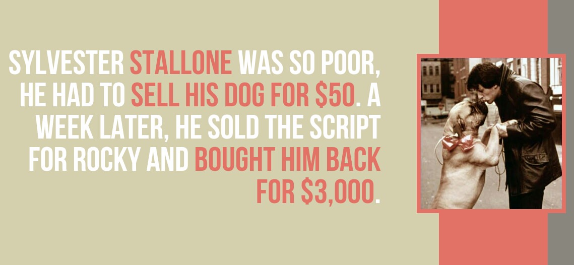 friendship - Sylvester Stallone Was So Poor, He Had To Sell His Dog For $50. A Week Later. He Sold The Script For Rocky And Bought Him Back For $3,000