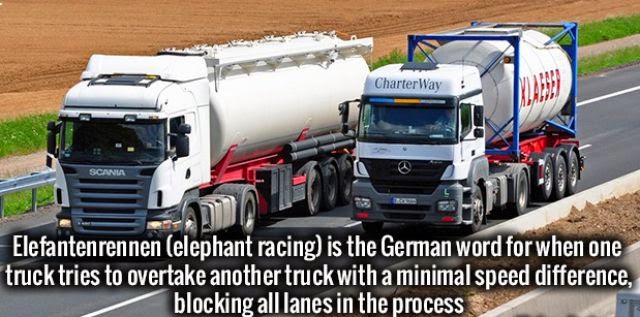 commercial vehicle - CharterWay Ma Elefantenrennen elephant racing is the German word for when one truck tries to overtake another truck with a minimal speed difference. blocking all lanes in the process