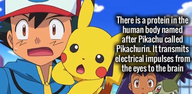 Pokémon - There is a protein in the human body named after Pikachu called Pikachurin. It transmits electrical impulses from the eyes to the brain