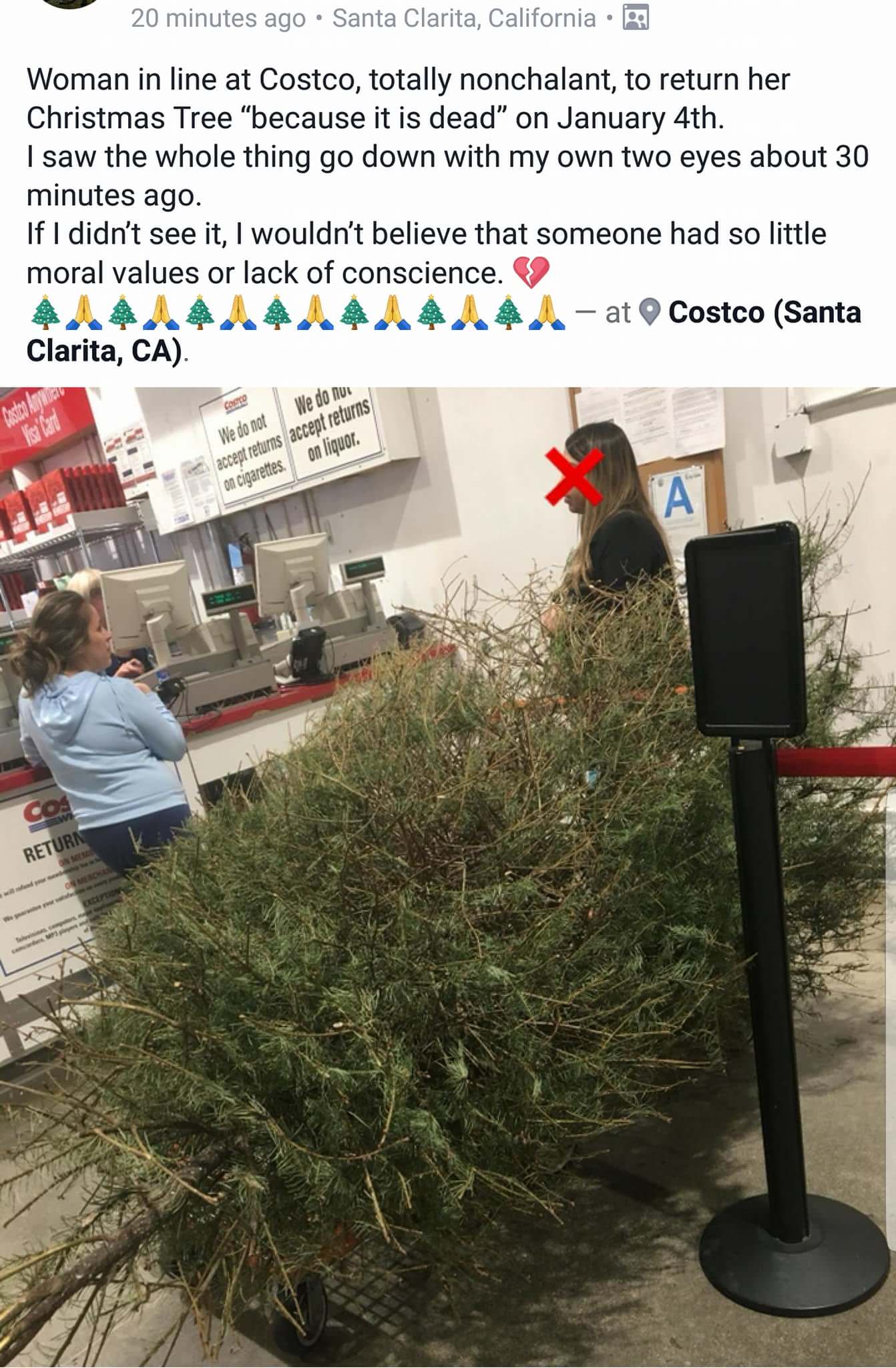 costco christmas tree return - 20 minutes ago Santa Clarita, California Woman in line at Costco, totally nonchalant, to return her Christmas Tree because it is dead on January 4th. I saw the whole thing go down with my own two eyes about 30 minutes ago. I