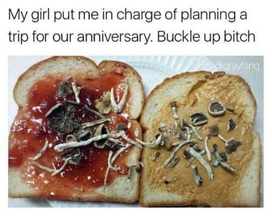 random peanut butter and jelly mushrooms - My girl put me in charge of planning a trip for our anniversary. Buckle up bitch digrayfang