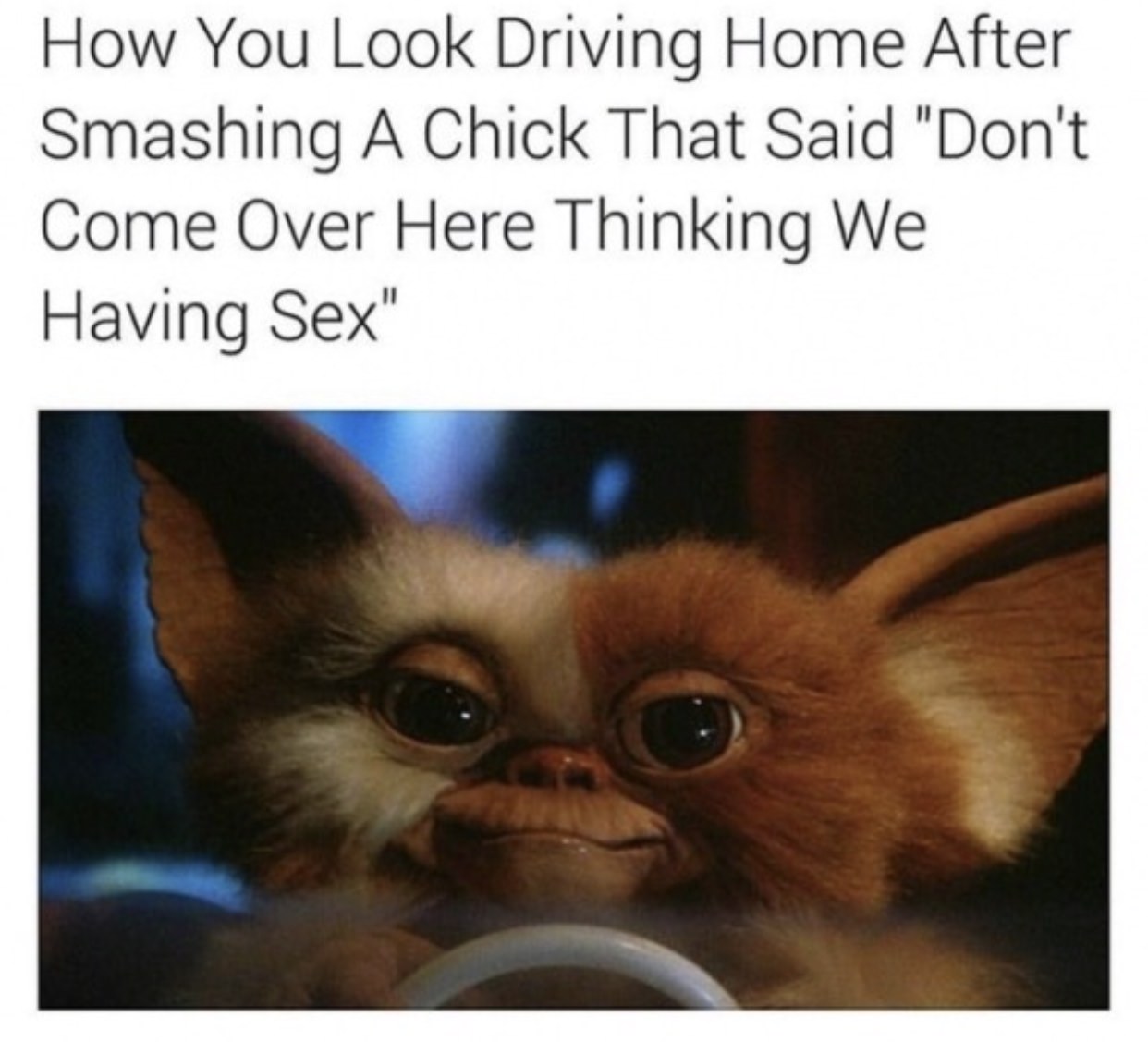 random just wanna cuddle meme - How You Look Driving Home After Smashing A Chick That Said "Don't Come Over Here Thinking We Having Sex"