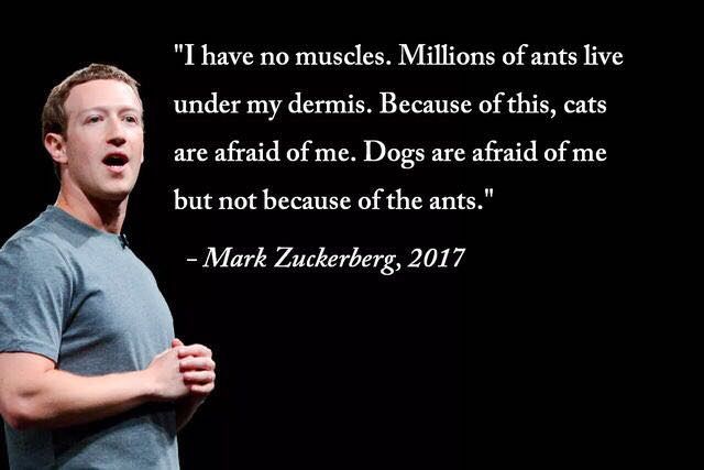 zuckerberg cats are afraid of me - "I have no muscles. Millions of ants live under my dermis. Because of this, cats are afraid of me. Dogs are afraid of me but not because of the ants." Mark Zuckerberg, 2017