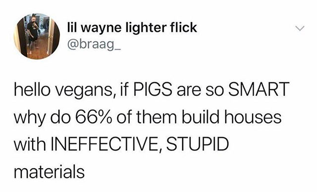 transgender hate tweets - lil wayne lighter flick hello vegans, if Pigs are so Smart why do 66% of them build houses with Ineffective, Stupid materials