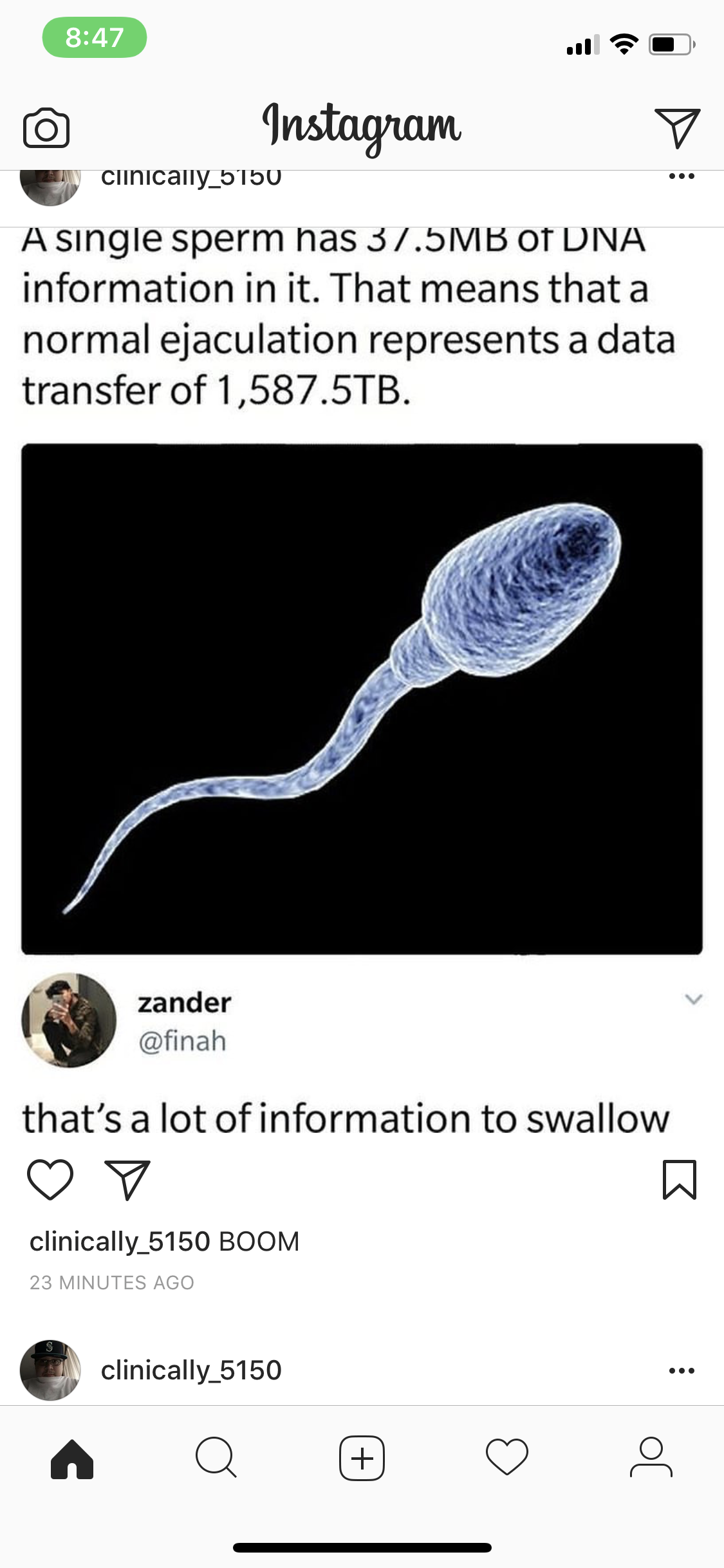 sperm data swallow - Instagram clinically_3150 A single sperm has 37.5MB Ot Dna information in it. That means that a normal ejaculation represents a data transfer of 1,587.5TB. zander finah that's a lot of information to swallow Y clinically 5150 Boom 29 