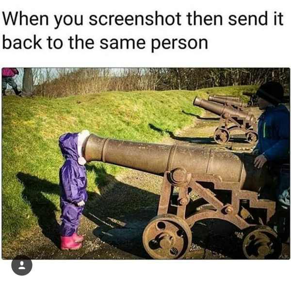you screenshot and send it back - When you screenshot then send it back to the same person