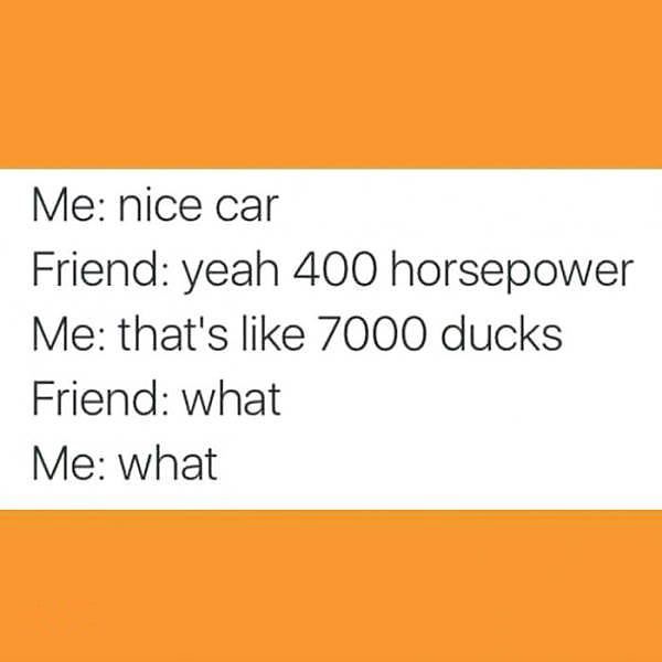 orange - Me nice car Friend yeah 400 horsepower Me that's 7000 ducks Friend what Me what