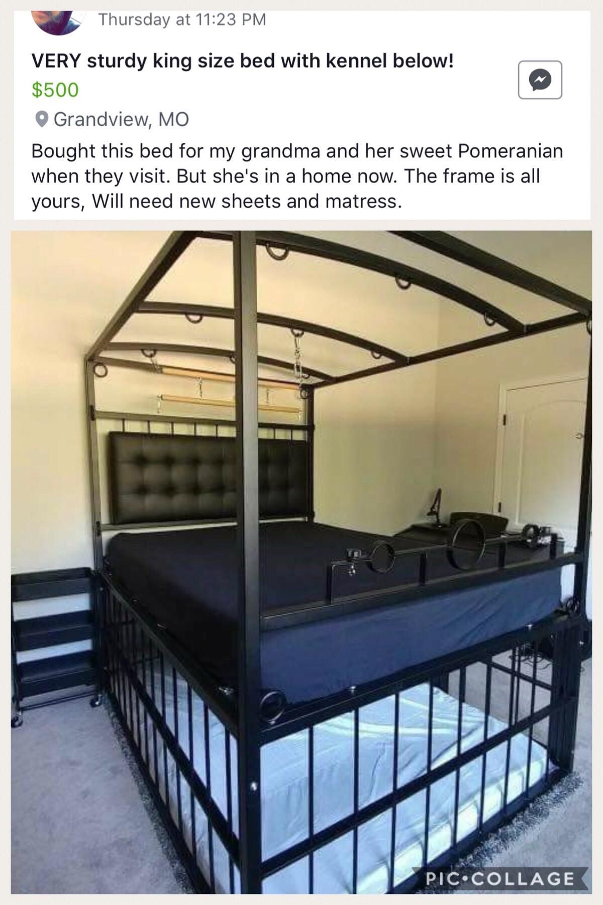 sad but cool picture of a bed that also holds a dog but the owner is in a retirement home now so the bed is for sale
